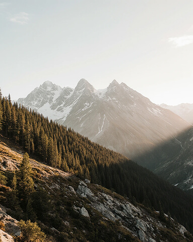 мягкий климат